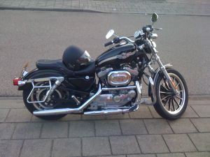 sportster