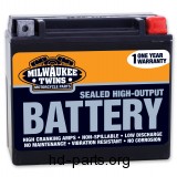 Milwaukee Twins Maintenance Free Battery