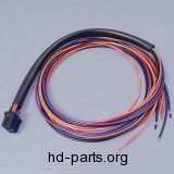 Taillight Wire Harness