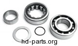 JIMS Twin Cam Outer Cam Bearing Kit